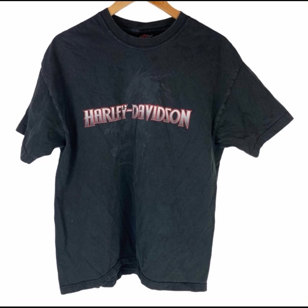 HARLEY DAVIDSON New Mexico Graphic Tee | L